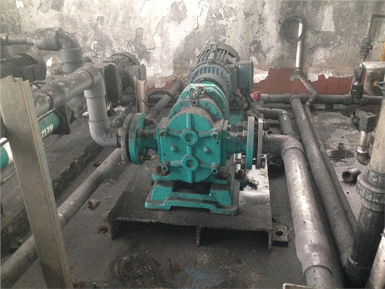 活性炭投加不用愁，選擇羅德凸輪轉(zhuǎn)子泵