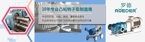 青島羅德轉(zhuǎn)子泵 青島羅德轉(zhuǎn)子泵