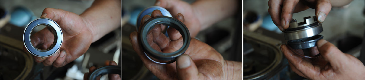 轉(zhuǎn)子泵機(jī)封 轉(zhuǎn)子泵機(jī)封