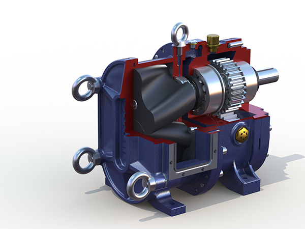 膜處理行業(yè)非要用進(jìn)口的轉(zhuǎn)子泵？