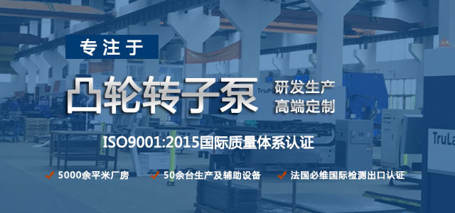 凸輪轉(zhuǎn)子泵生產(chǎn)廠家，專注于凸輪轉(zhuǎn)子泵的研發(fā)生產(chǎn)，高端定制